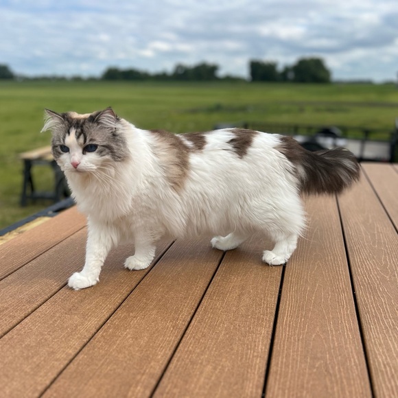 Meet your Posher, Linds - Picture 1 of 1